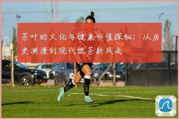 茶叶的文化与健康价值探秘：从历史渊源到现代饮茶新风尚