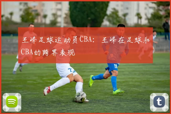 王峰足球运动员CBA：王峰在足球和CBA的跨界表现