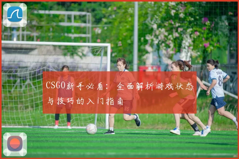 CSGO新手必看：全面解析游戏状态与技巧的入门指南