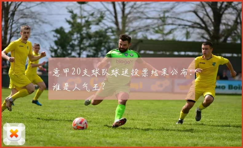 意甲20支球队球迷投票结果公布：谁是人气王？