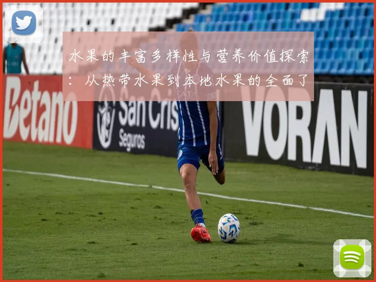水果的丰富多样性与营养价值探索：从热带水果到本地水果的全面了解